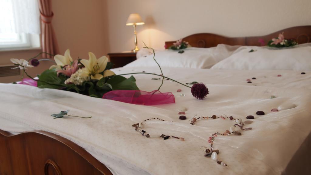 Pension Habermannova Vila Bludov  الغرفة الصورة